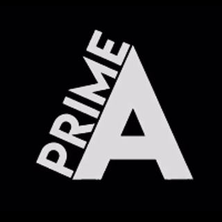 Prime Ability logo