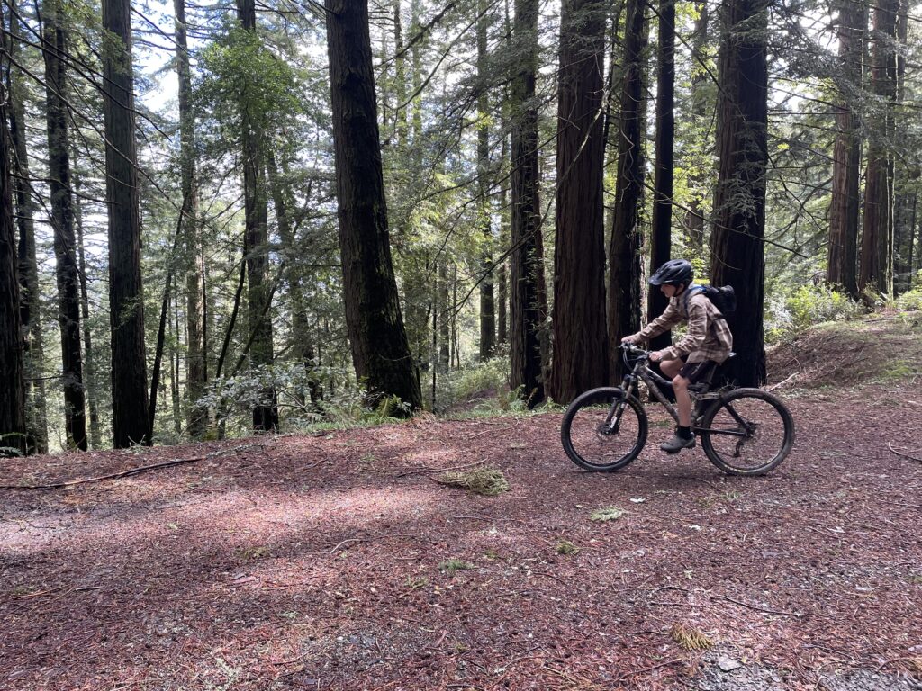 Rocco, a young Climate Rider, out riding in the forest of Marin